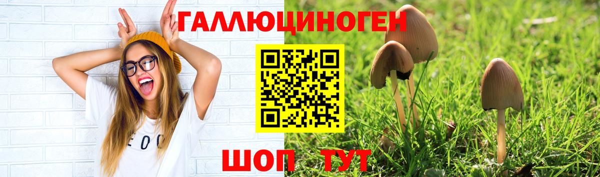 Псилоцибиновые грибы Magic Shrooms  Галлюциногенные грибы Psilocybe  Вход с VPN  наркота  Калуга 